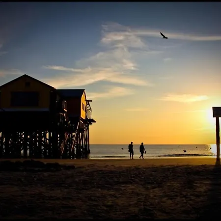 Pastor's Stuv Uelvesbull